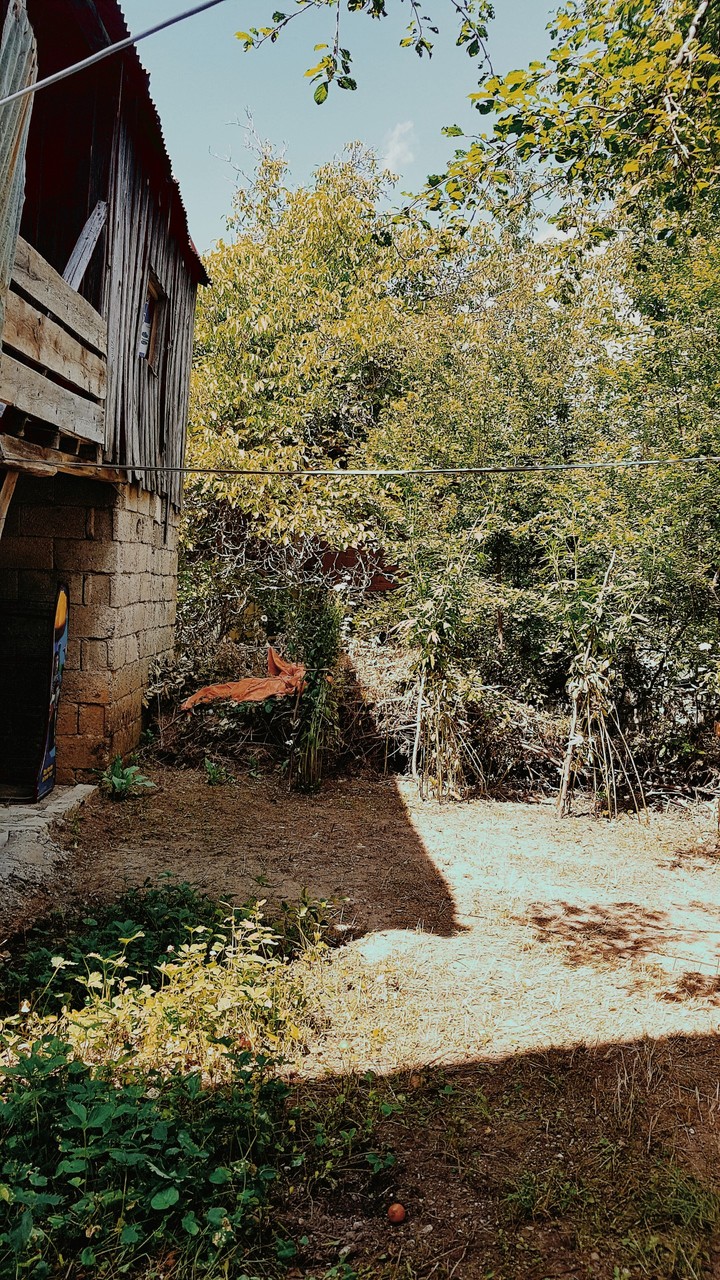 yayla.