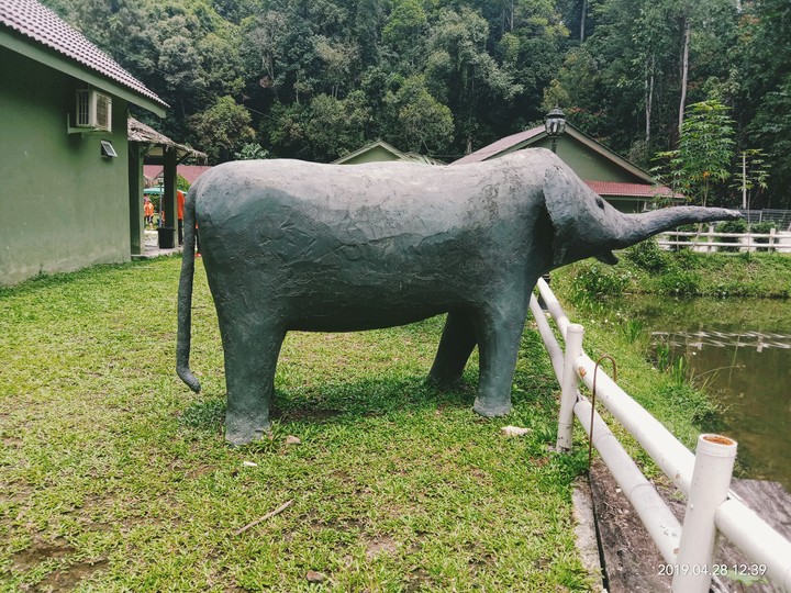 elephant art
