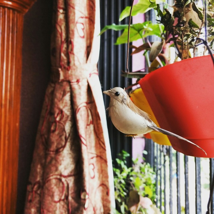 artificial sparrow