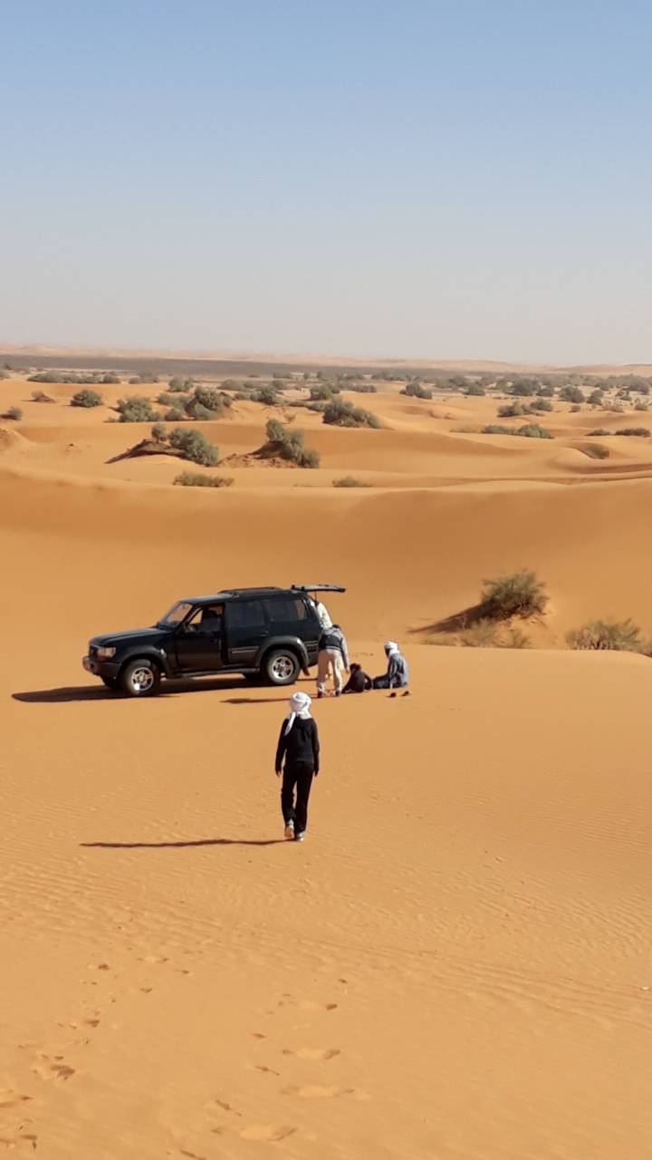 Sahara Algeria