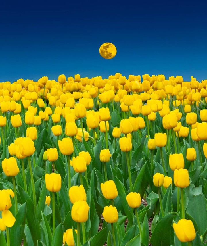 ..