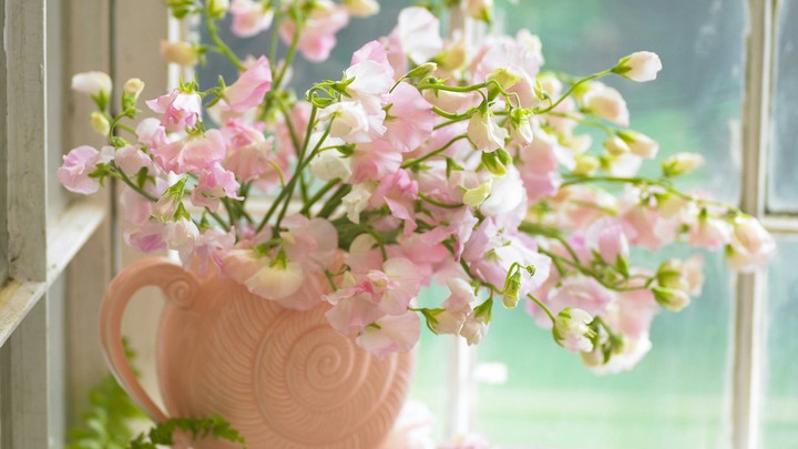 pretty in pink