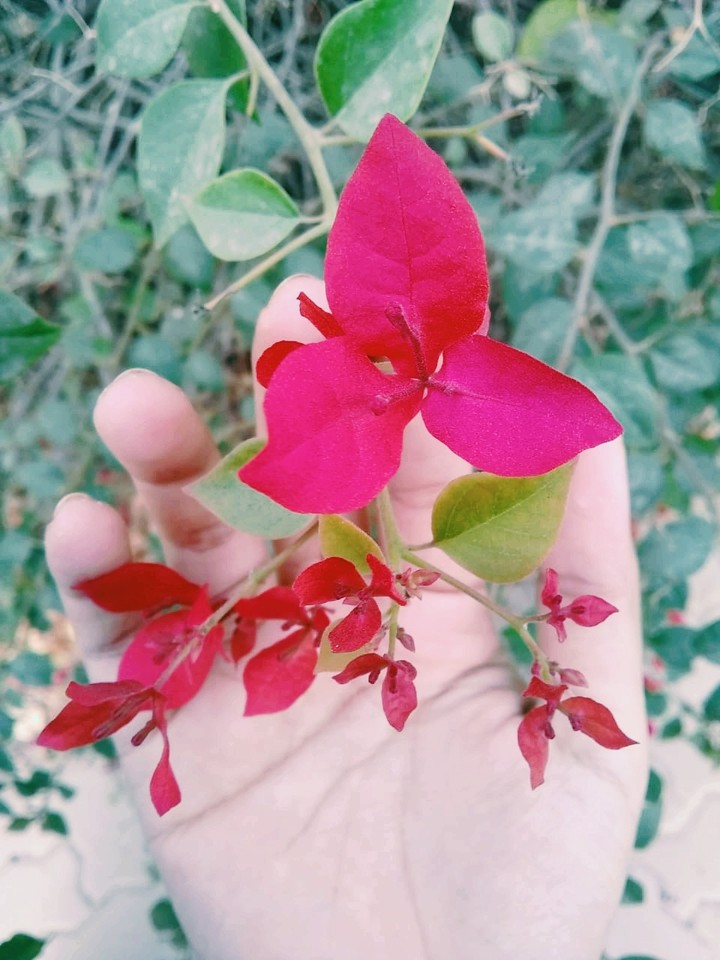 MY PHOTOGRAPHY