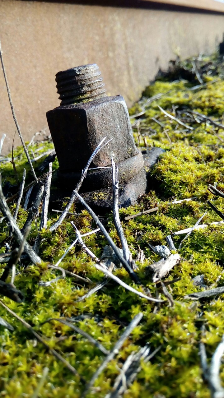 Spring rails...
