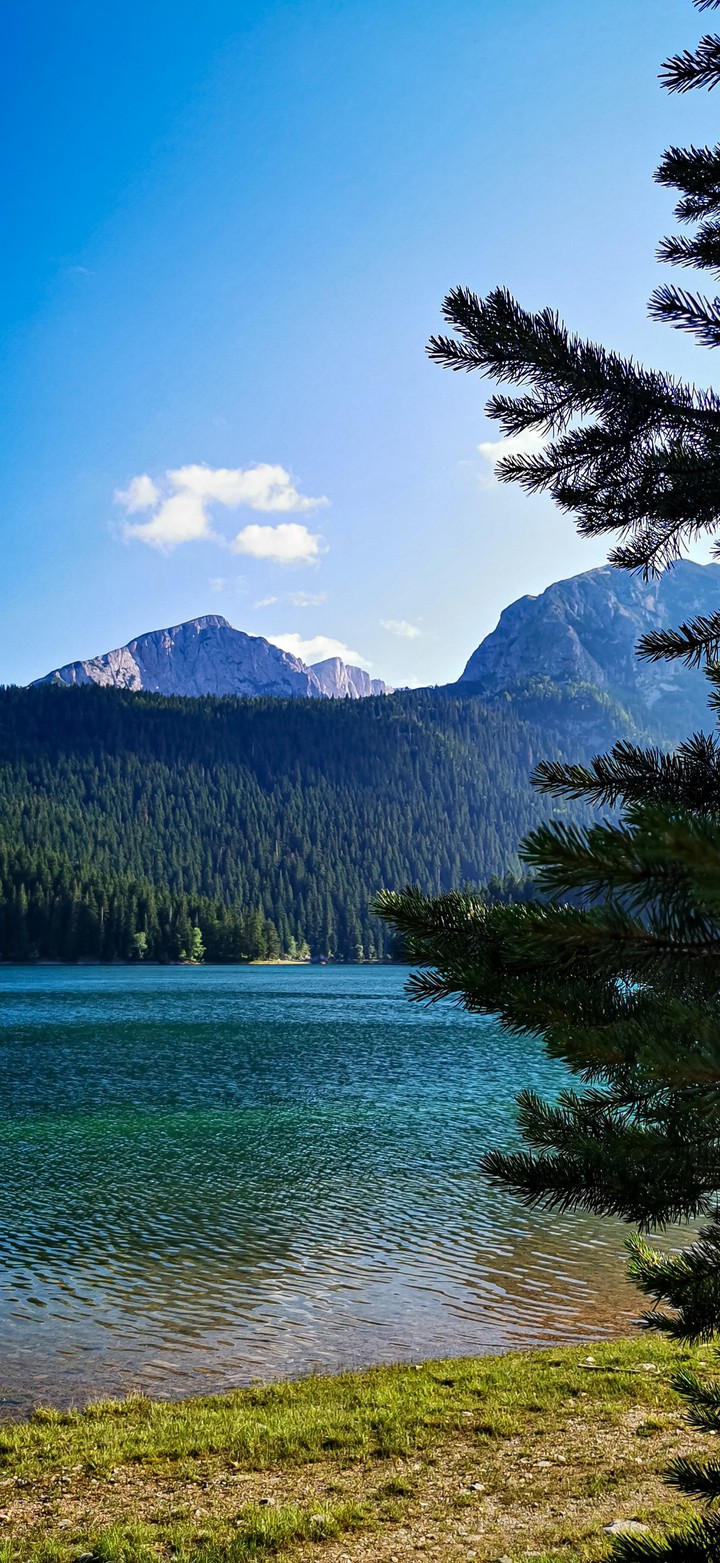Black Lake, Durmitor