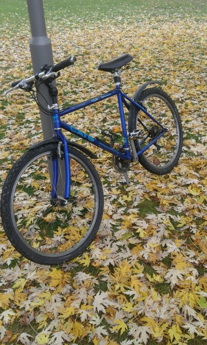 bicycle