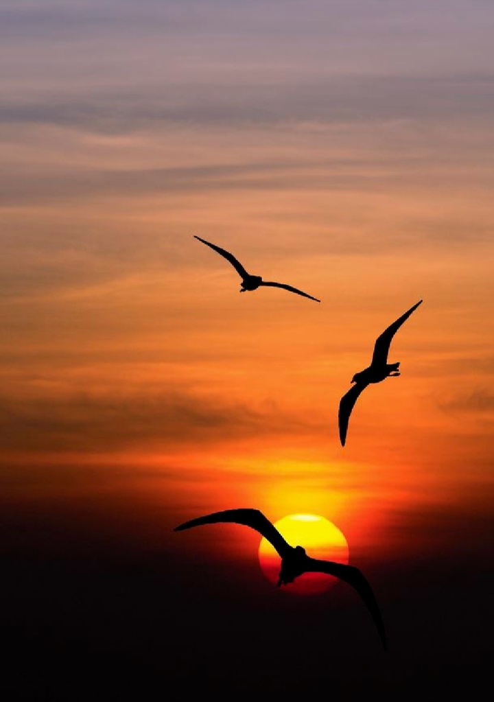 .