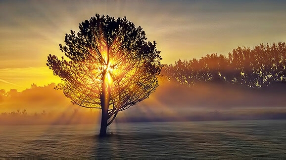 misty sunrise