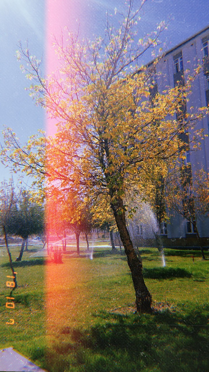 Spring