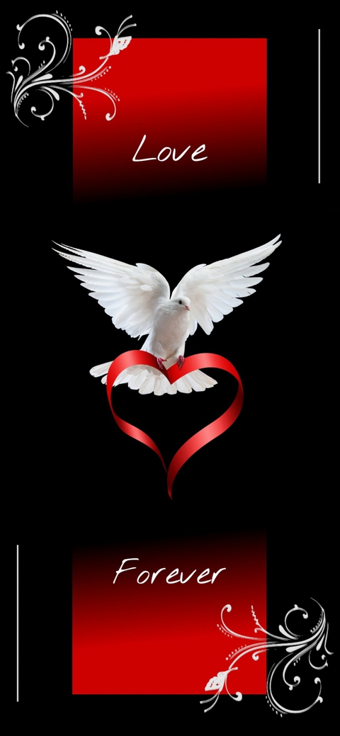 darkness, wing वॉलपेपर
