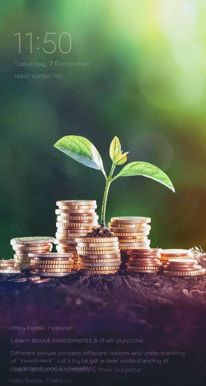 Money Plant