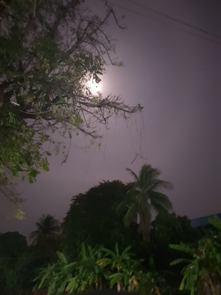 Moon night