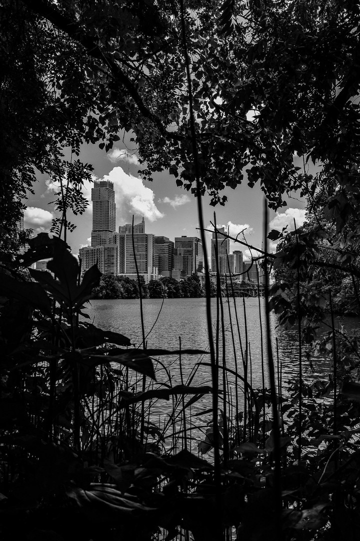 austin b&w