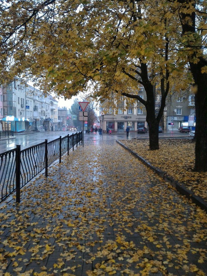 autumn