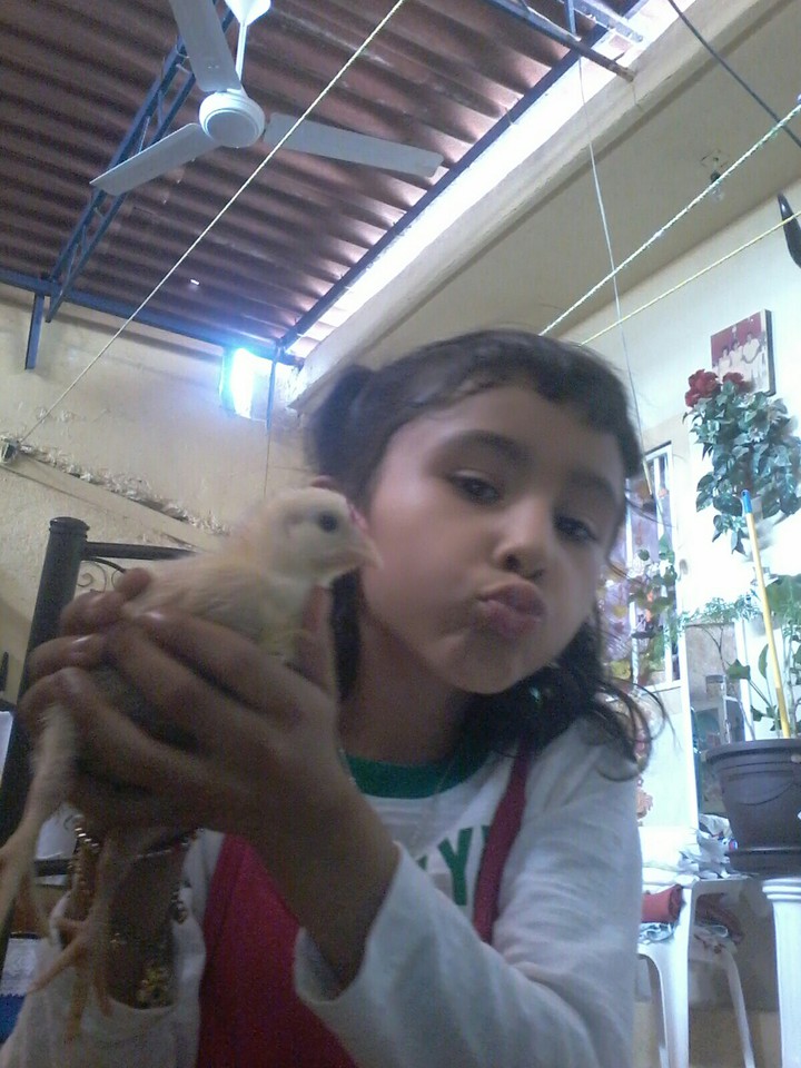 My cute little Pet