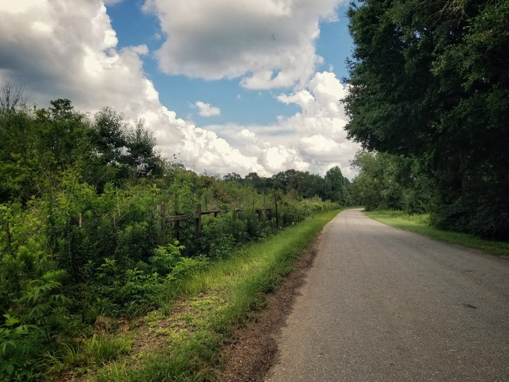country road