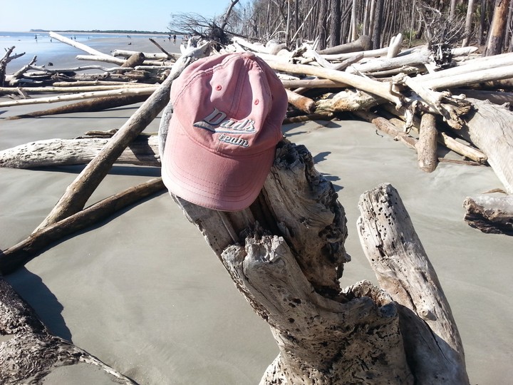 Driftwood