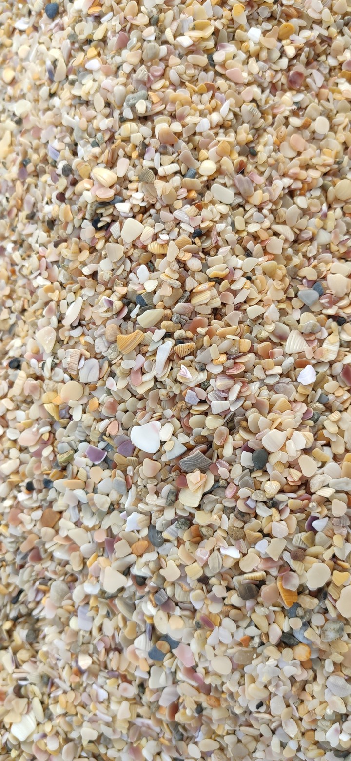 sea ​​sand