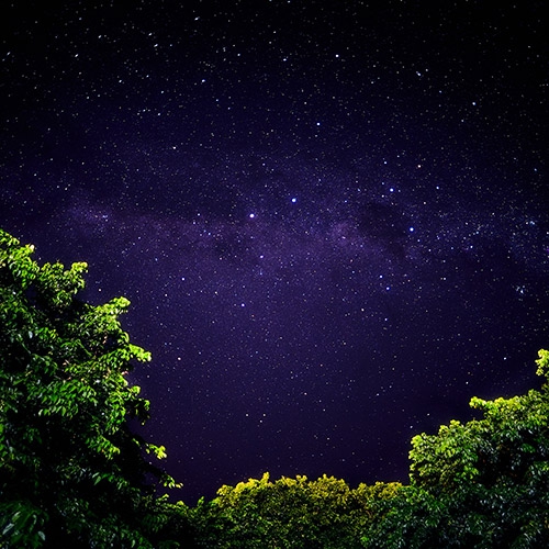 Stars at night
