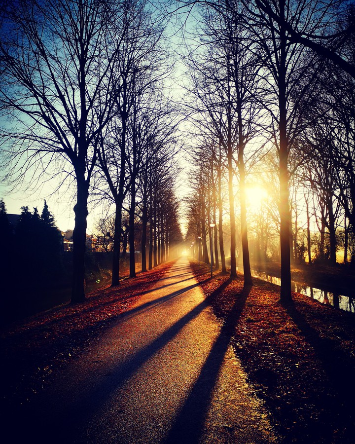 Winter in The Netherlands