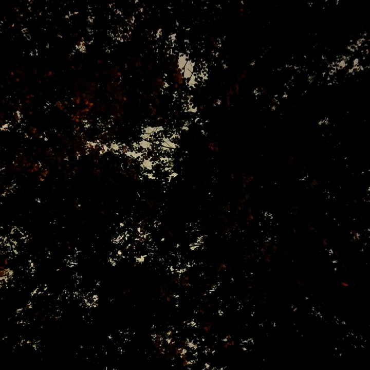 dark