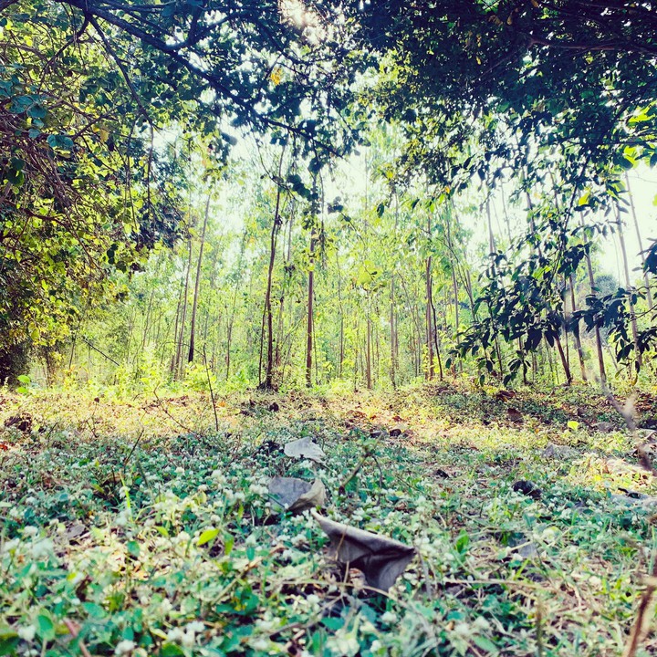 not more Than Enough to spend with Nature