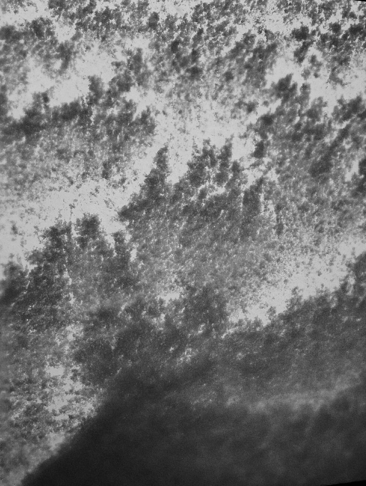 Tell me what you see.