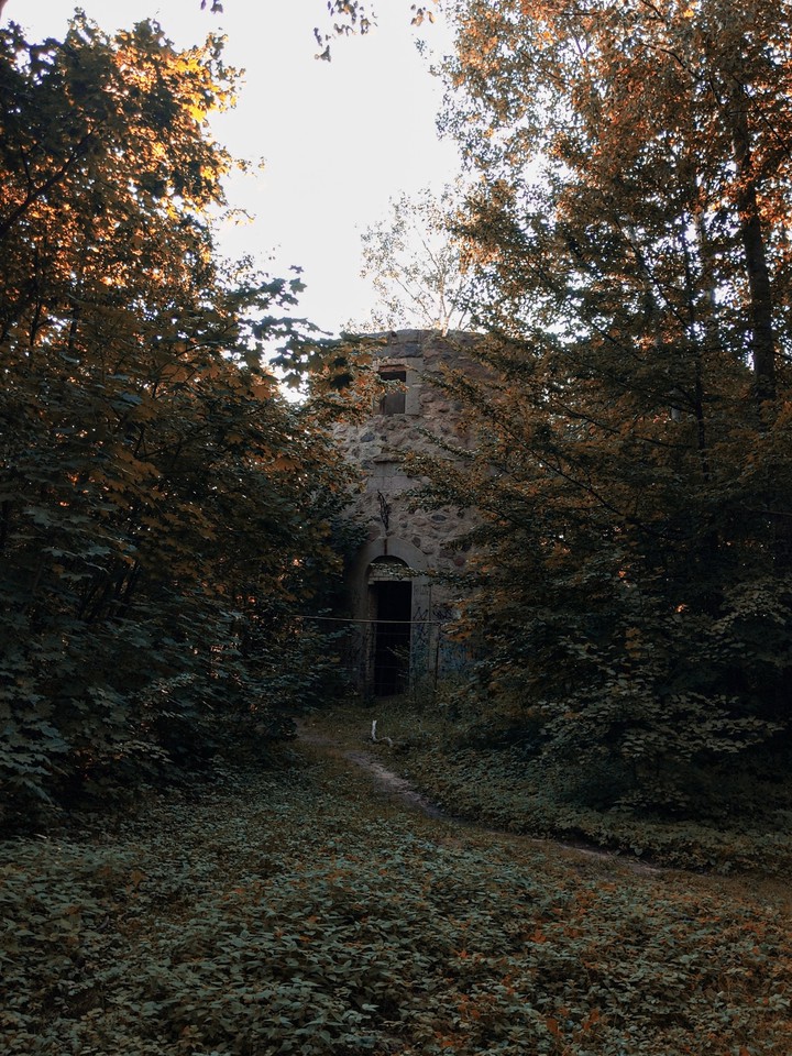 Tower in the forest