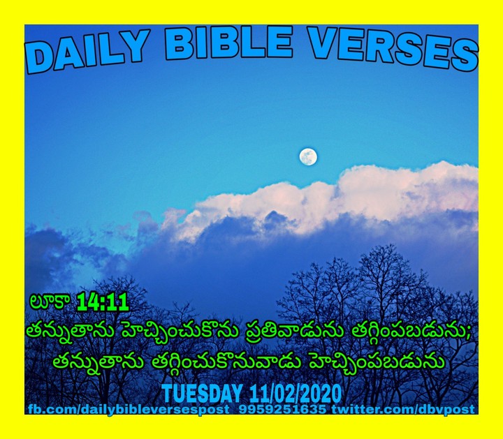 Daily Bible Verses