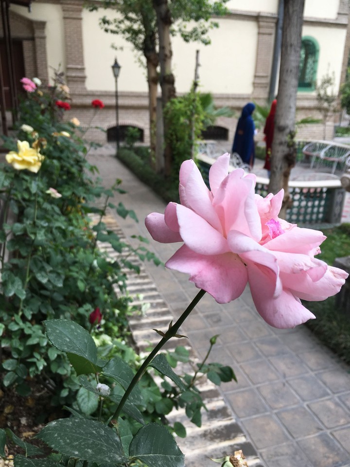 moghadam house