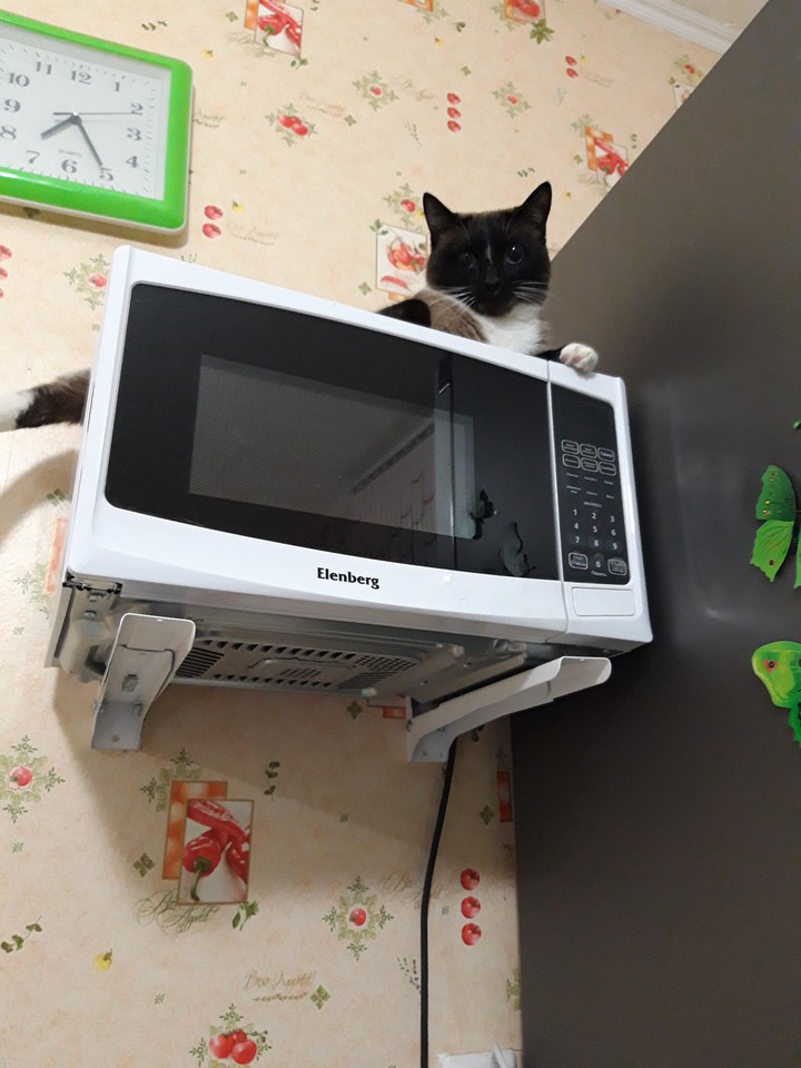 Я всех вижу