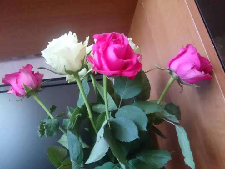 розы