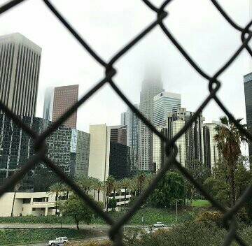 213 Los Angeles smoke weed every day 213