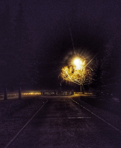 night