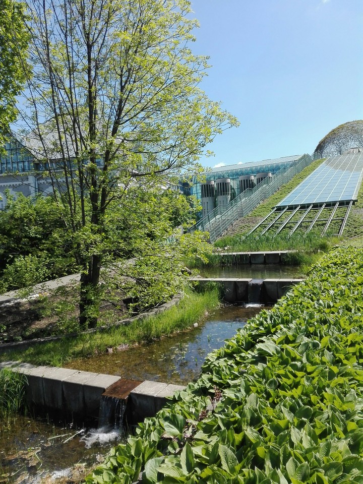Green Garden