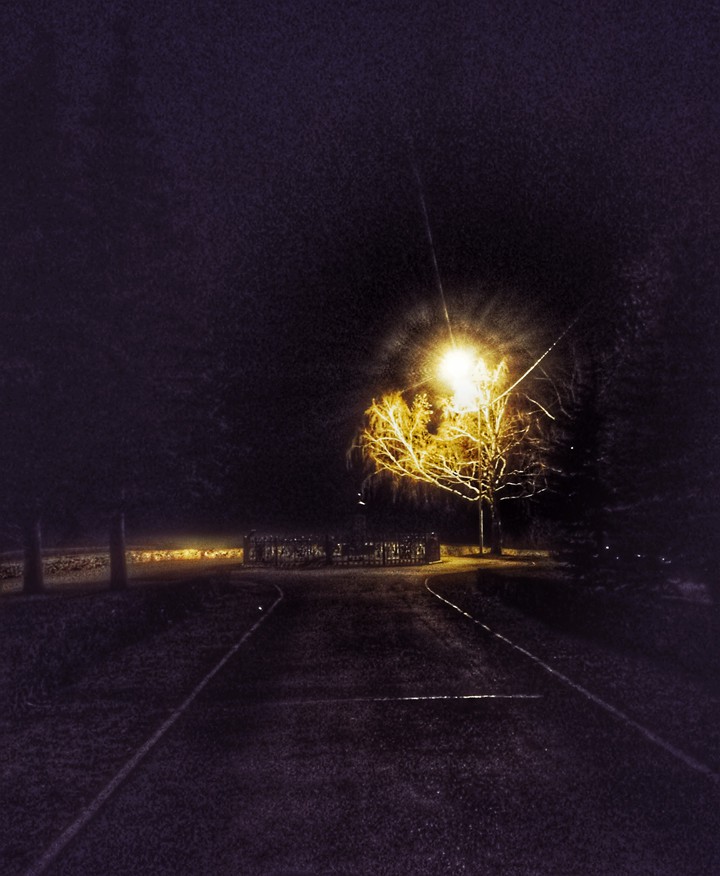 night