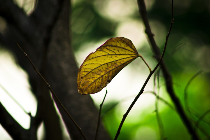 hope