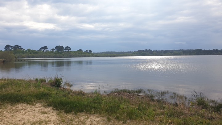 ste Eulalie en born