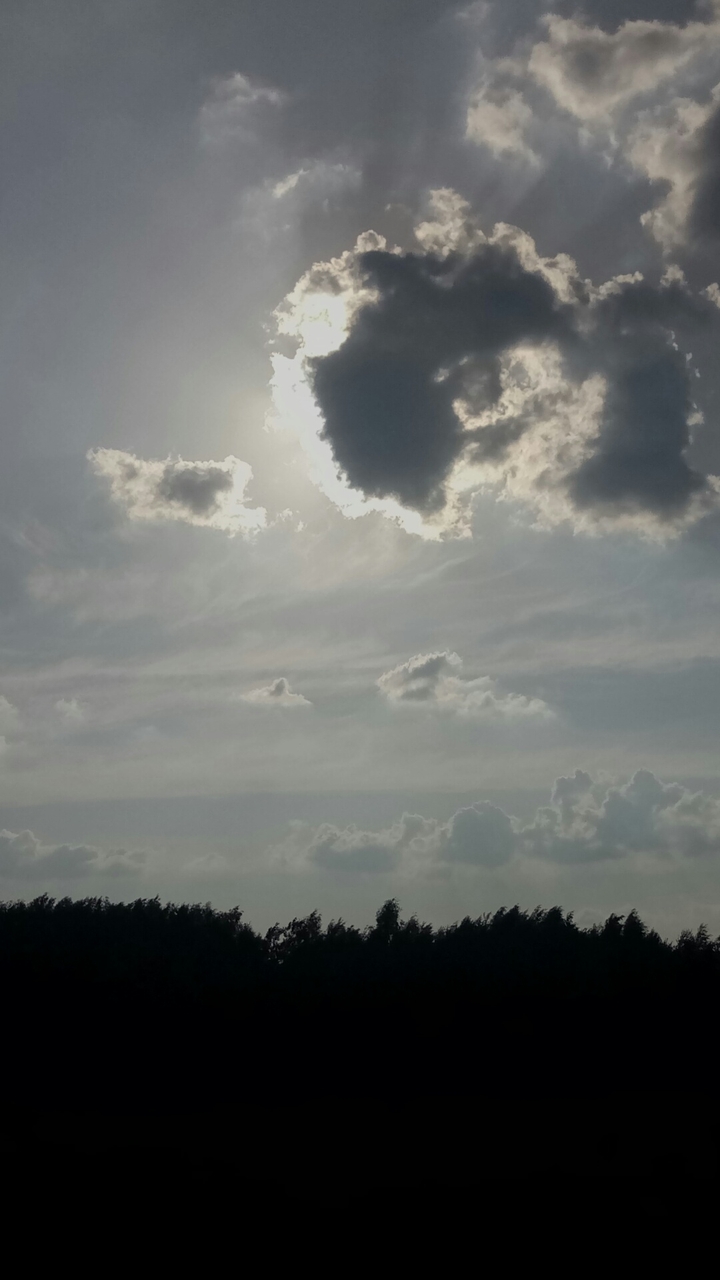 Sky