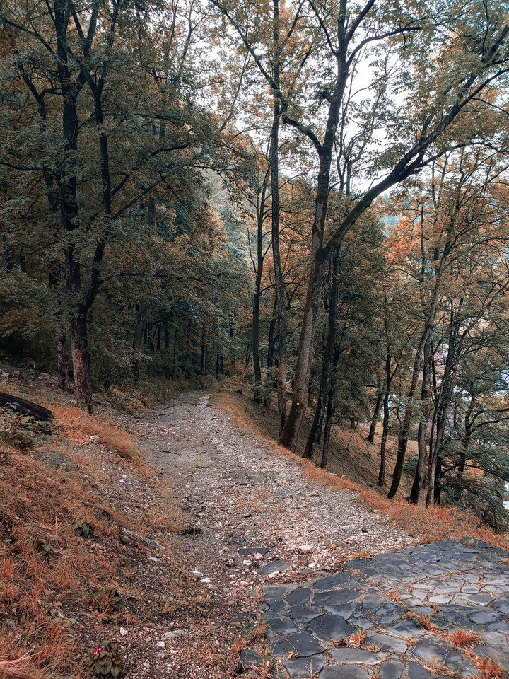 Nature