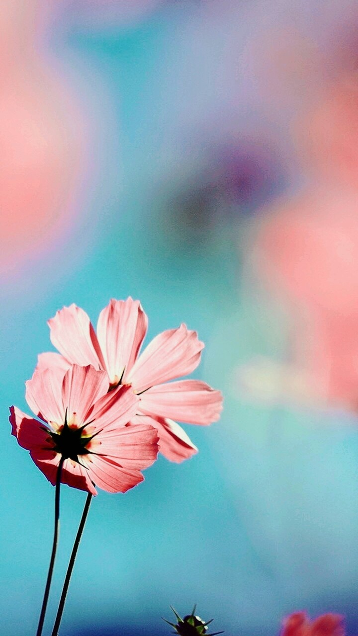 ♡♡♡♡♡