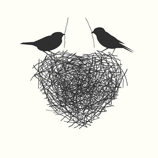 Romantic birds