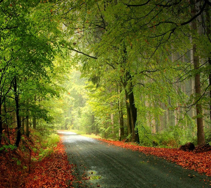 Beautiful Road...