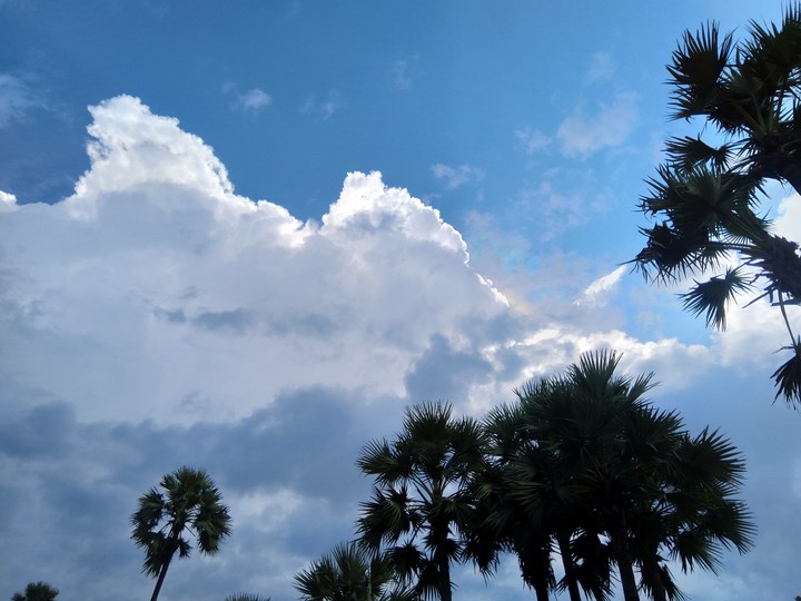 Beautiful sky