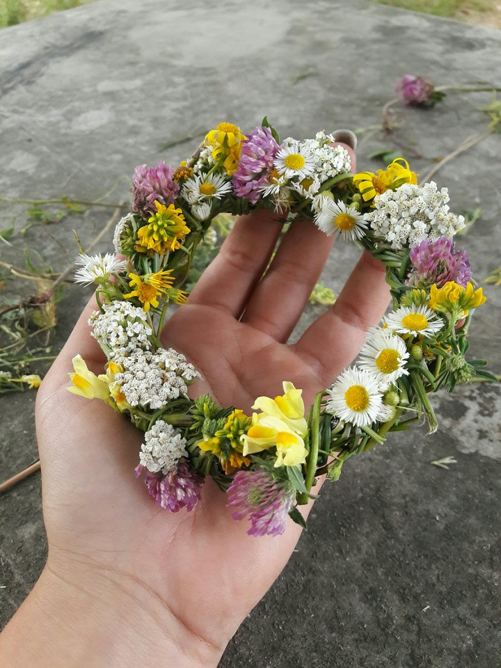 flowers