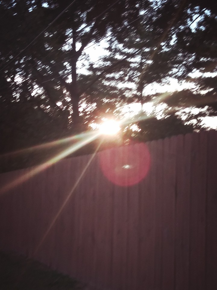 s u n s h i n e