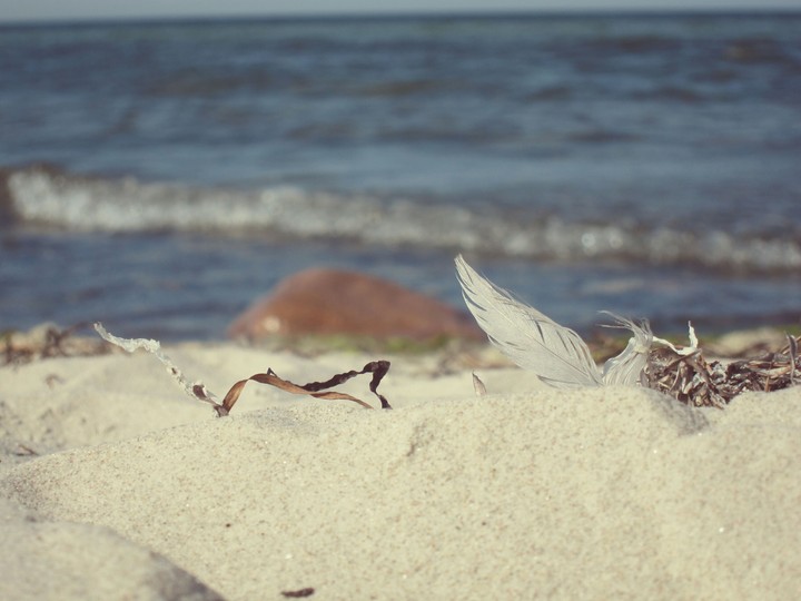 Strand & Mee (h)r