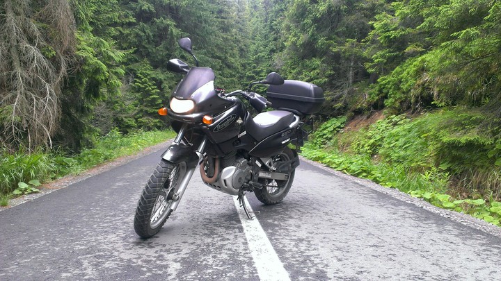 #Forest #Bike