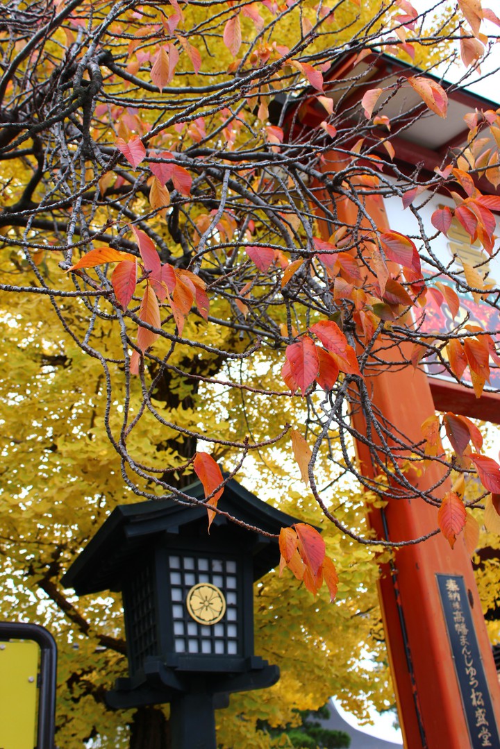 autumn,2018