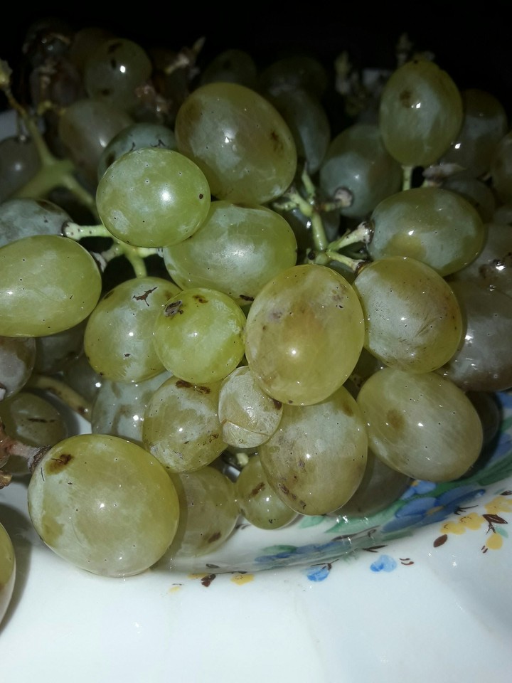 Grapes